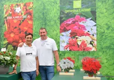 Andrea Lazzeri and Adriano Gobetti of Lazzeri presenting, on the left Brasileira mandevilla, the novelty Snow White. Special about this variety is the pure white color, size of the flower and you can use it for any kind of pot size. On the right poinsettias. Carmen is the new variety in the series for their Red family. It has a 7,5 induction time and is top branching and has large brackts.